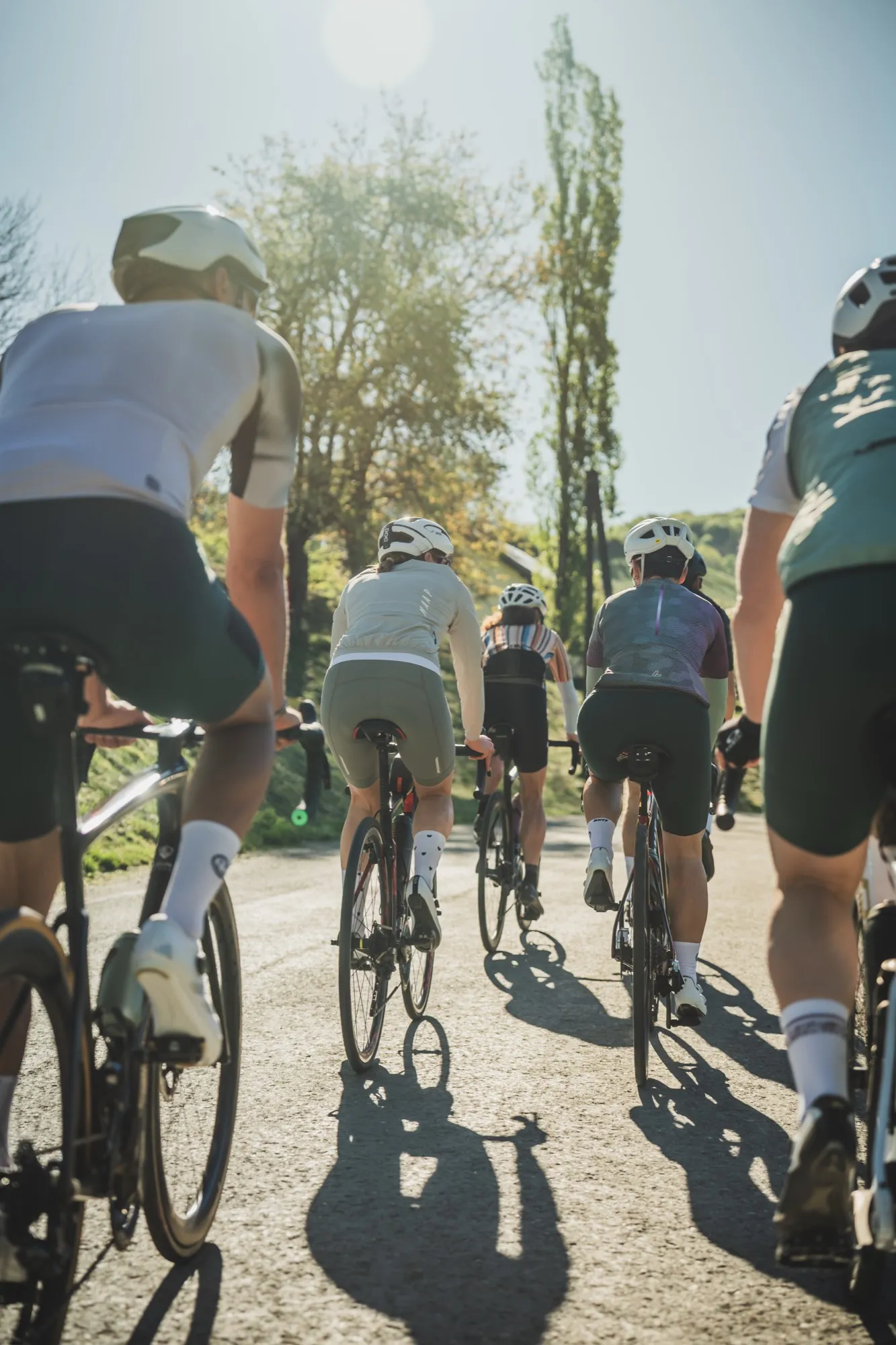 Rennrad-Tour zur Weinlese im Burgenland